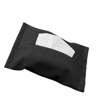 Car Tissue Bag (Tesla)